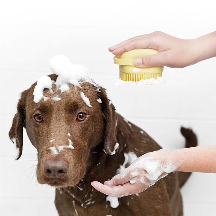Gants de bain pour chien 
