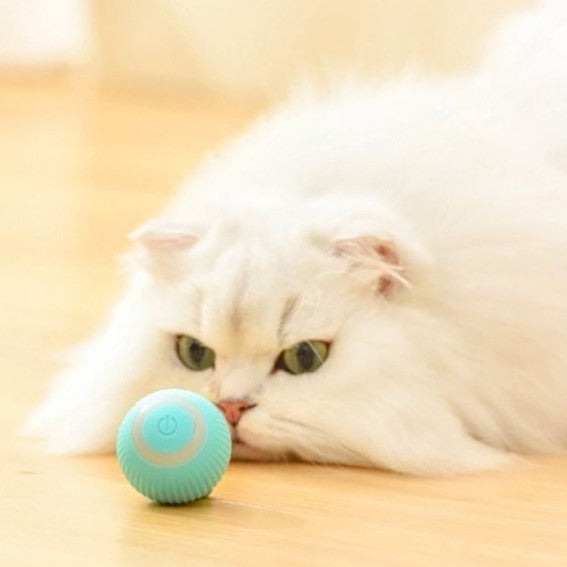 Balle électrique intelligente pour chat 
